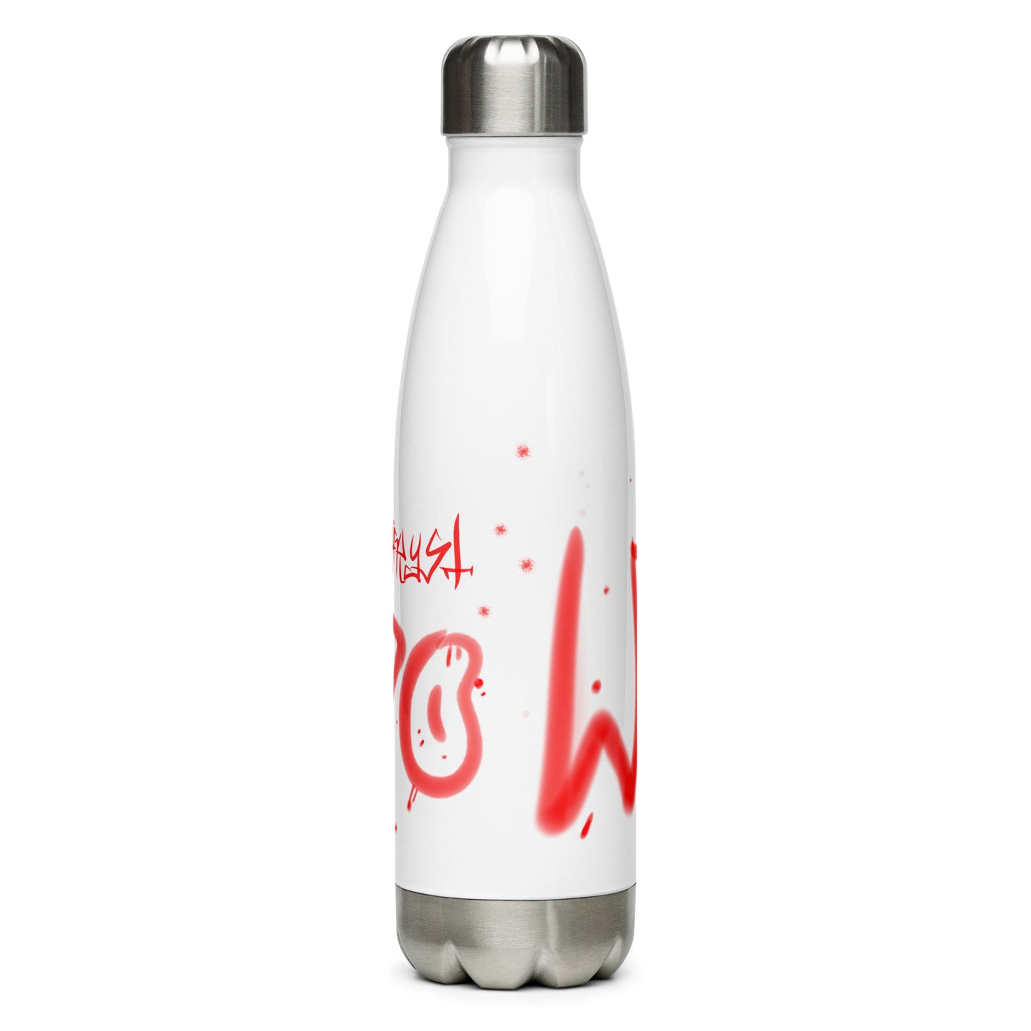 Stainless Steel Water Bottle